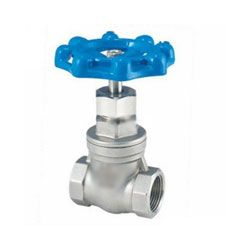 SS Gate Valves