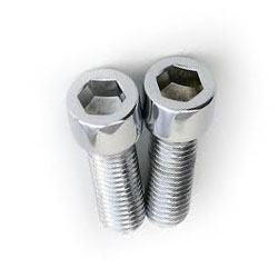 Stainless Steel Hex Bolts